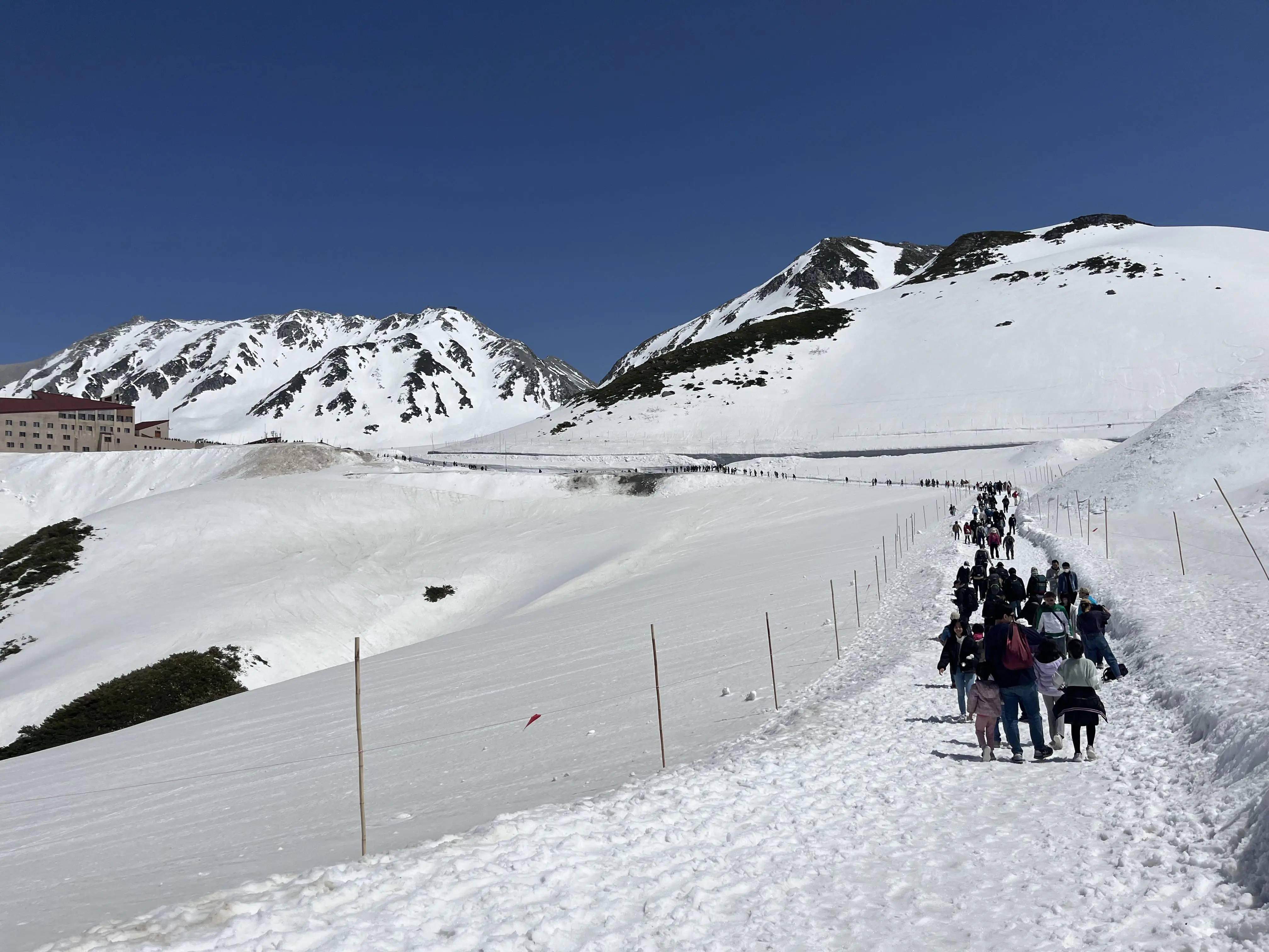 2024年の雪の壁は14m！全線開通のアルペンルートを歩いて満喫